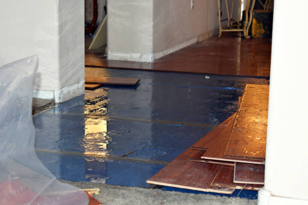 Professional Flood Damage Repair technician working in Bigfoot, TX